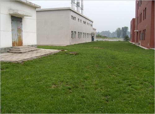 苏州厂区绿化养护公司