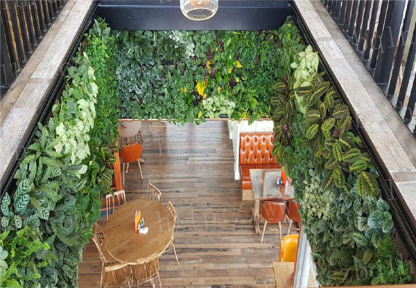 选择绿化养护需要了解的常见问题