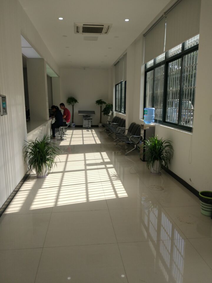 苏州室内绿植租摆价格