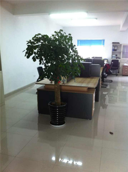 苏州室内绿植租摆价格