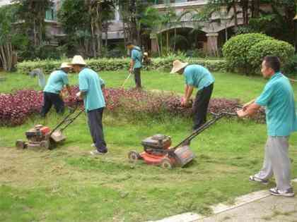 苏州专业绿化养护