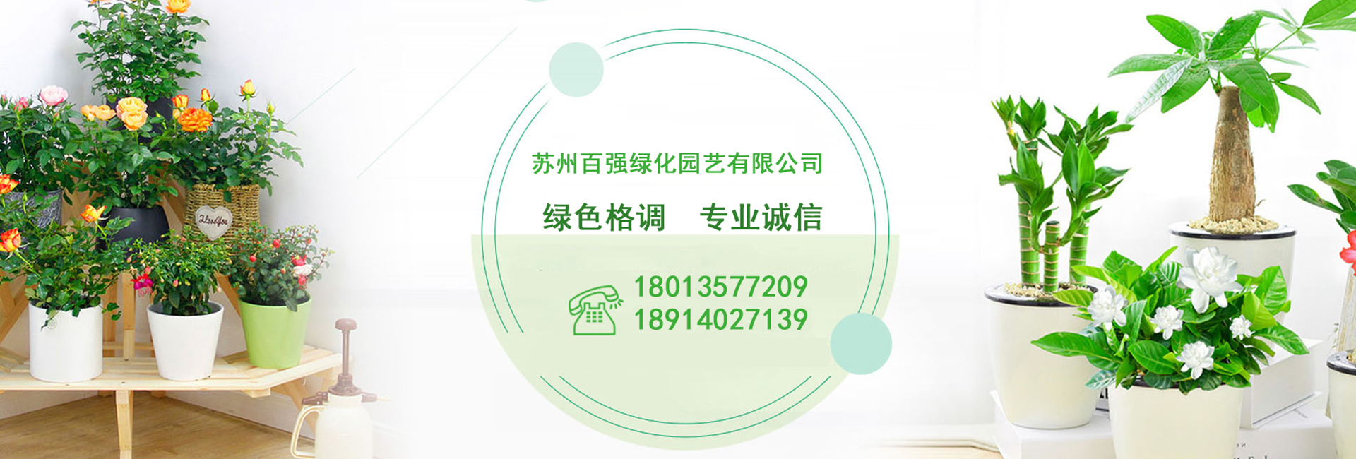 苏州专业绿化养护公司