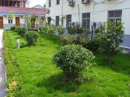 苏州室内绿植租摆