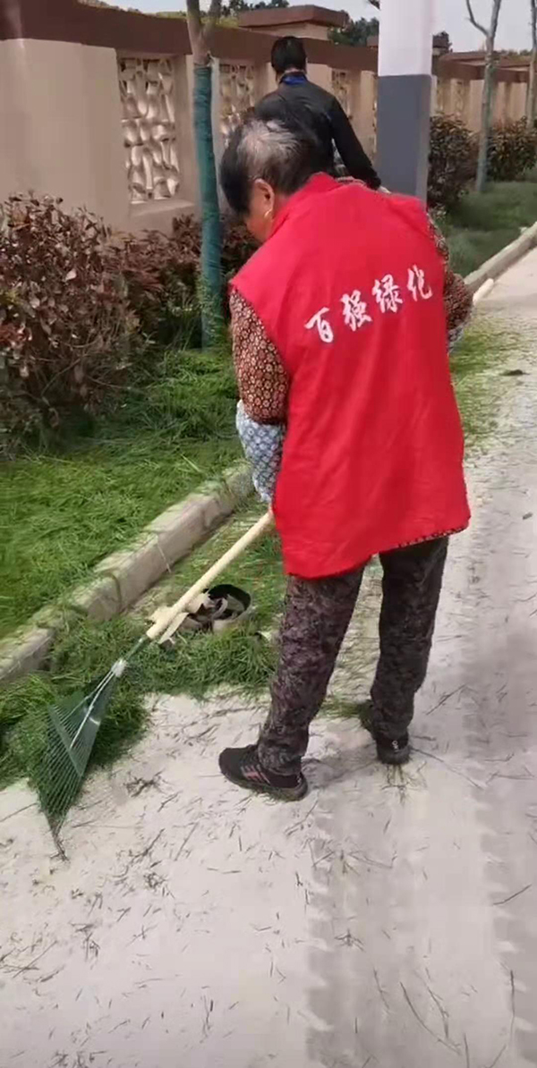 苏州专业绿化养护