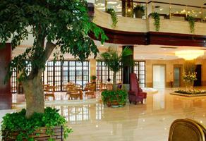 苏州室内绿植租摆公司