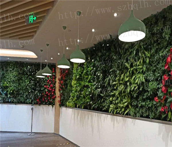 苏州室内绿植租摆价格