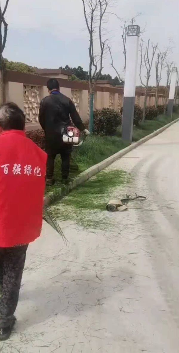 苏州专业绿化养护