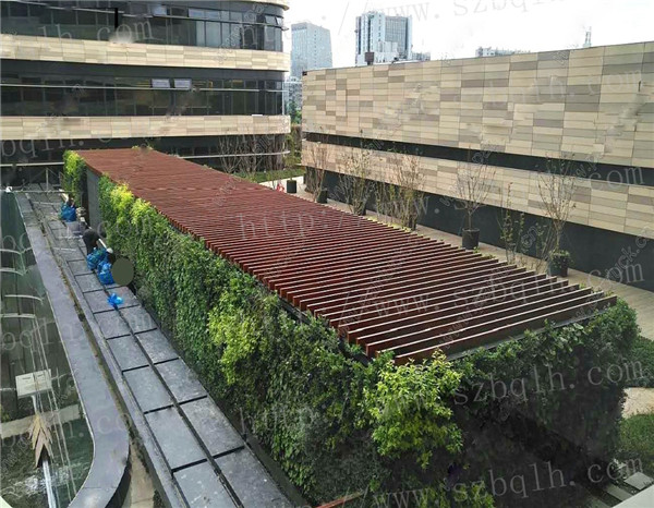 苏州室内绿植租摆价格