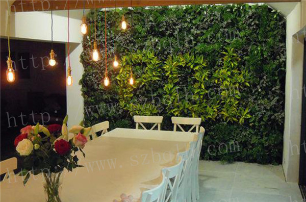 苏州室内绿植租摆价格